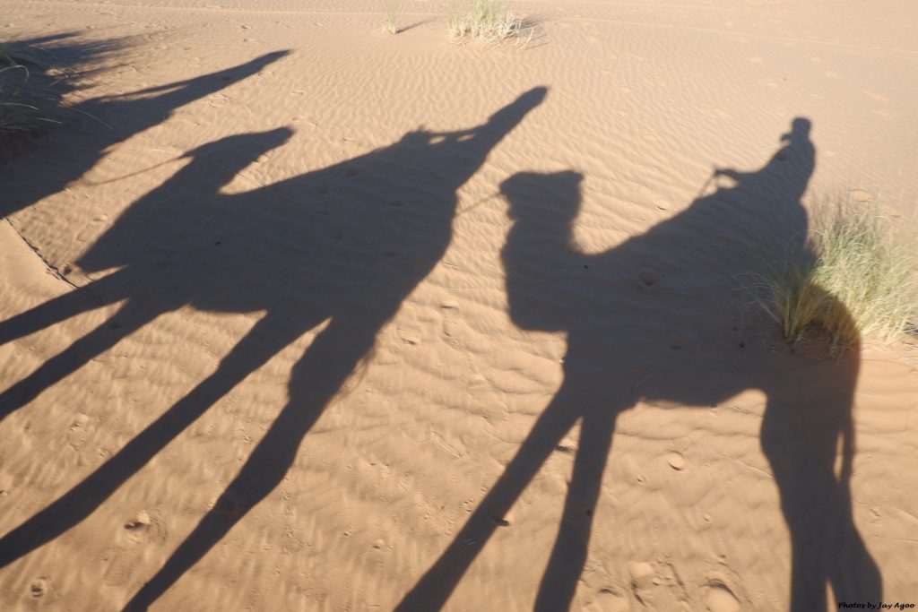 4 day Marrakech to fes desert tour